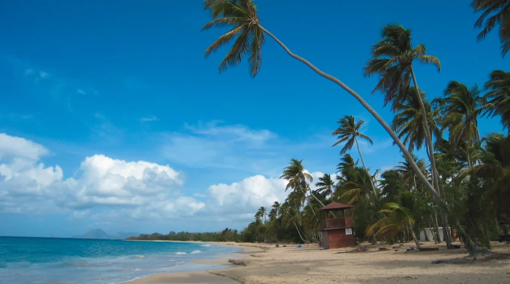 soin aquatique ATMA Janzu Martinique